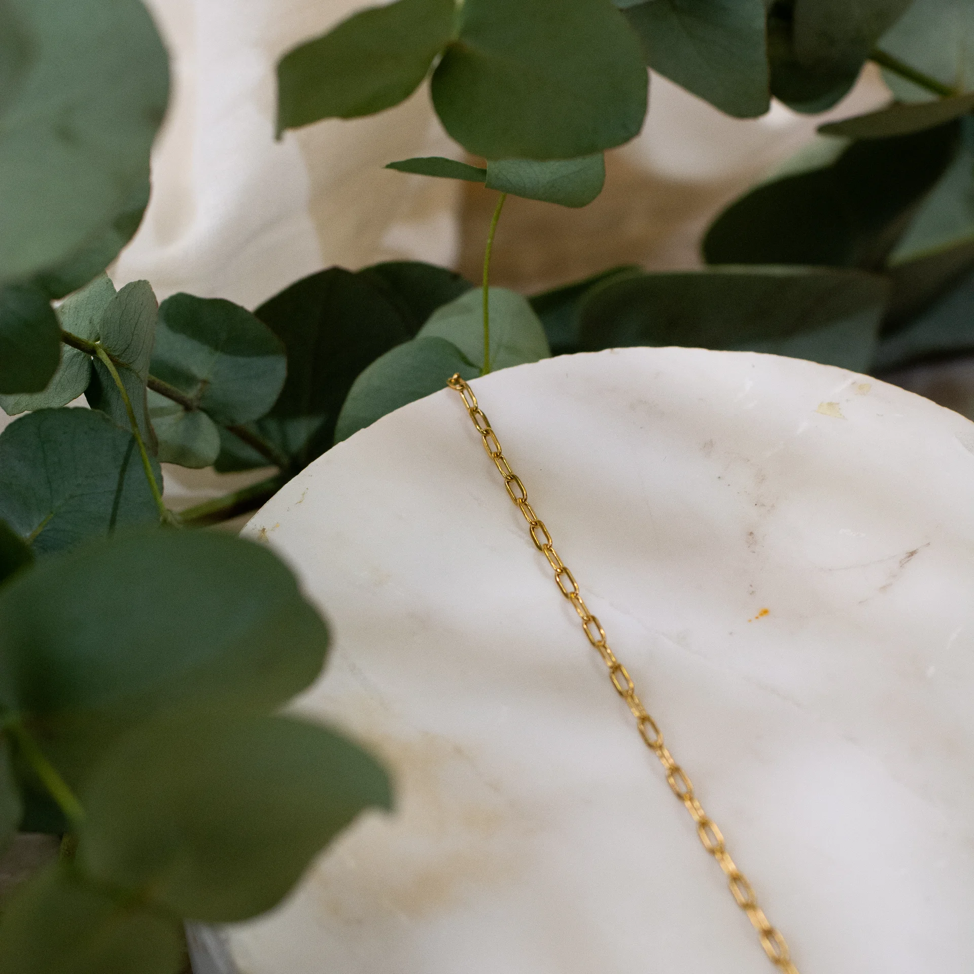 Tess Bracelet Gold 2 minimalistische gouden armband voor vrouwen, stijlvol en elegant sieraad uit de Sarae collectie gefotografeerd op witte achtergrond met groene bladeren
