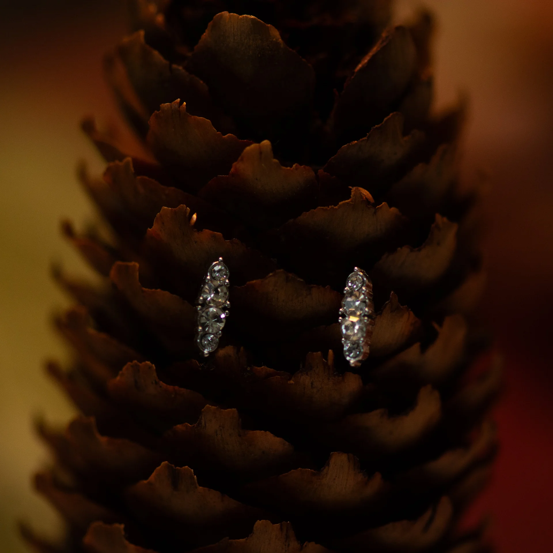 Iva Earrings Silver - Afbeelding 2