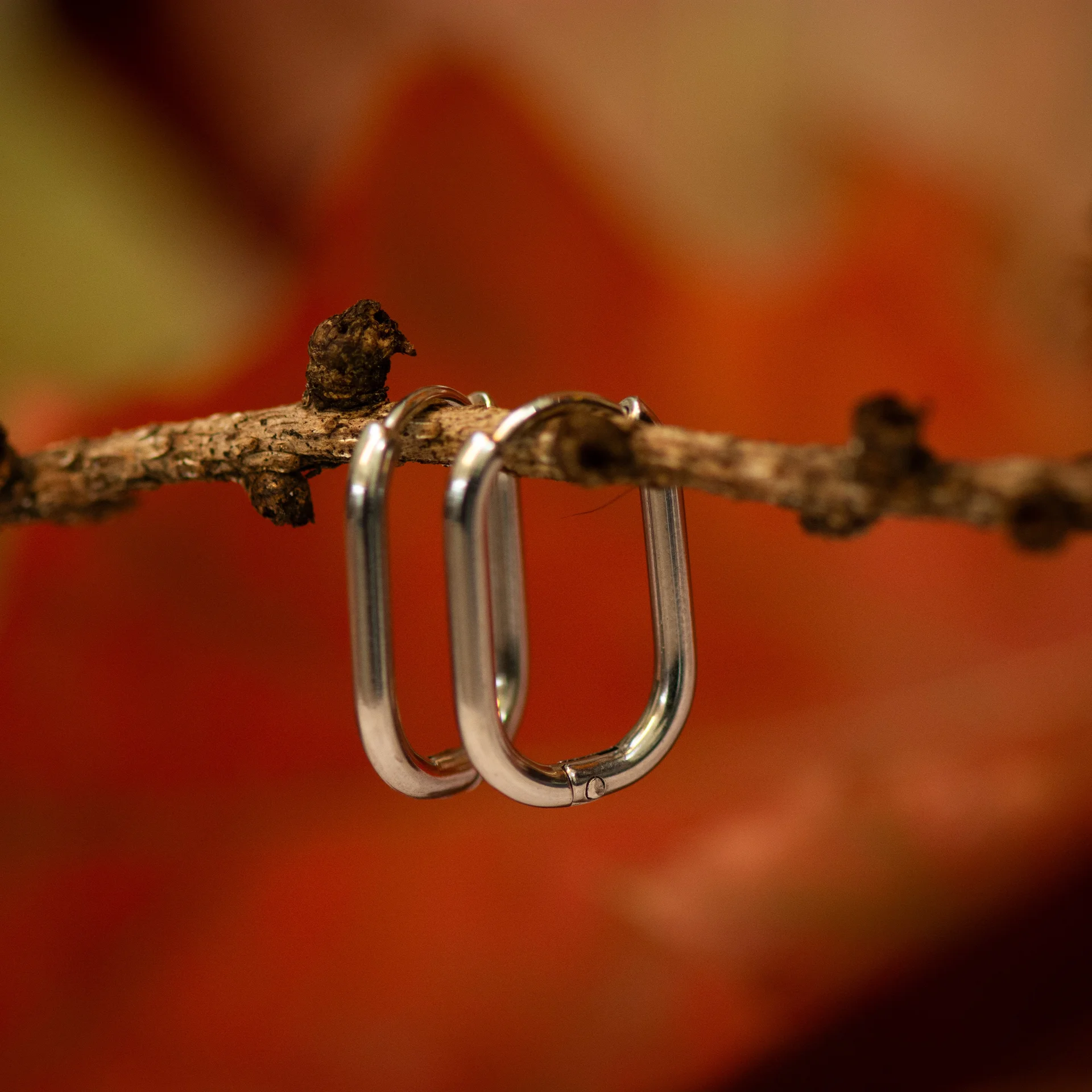 Mara Earrings Silver