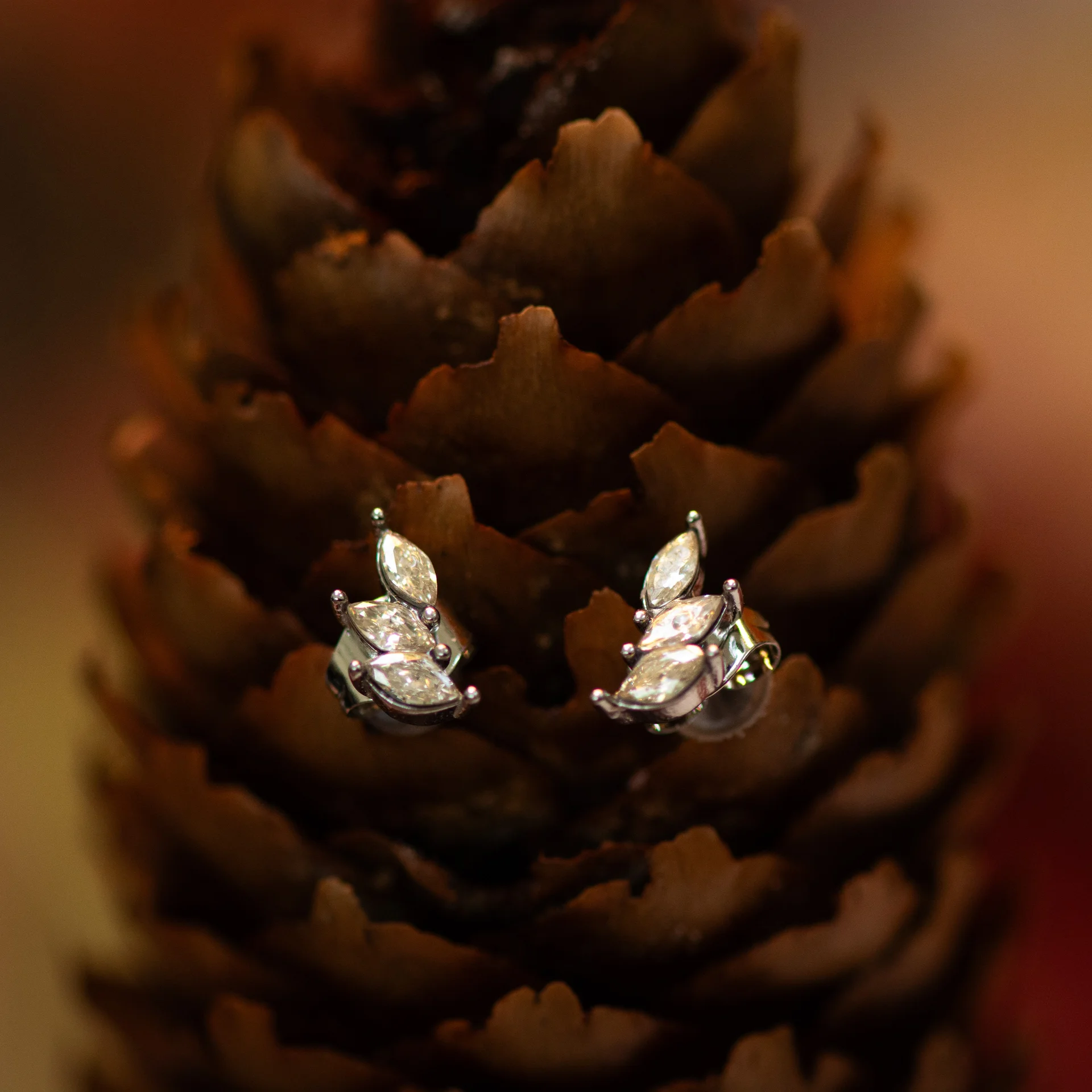 Zena Earrings Silver - Afbeelding 2